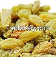 Sell Raisin In Dried Fruit