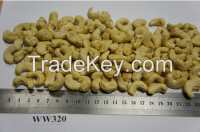 Sell Raw and roasted Cashew Nuts