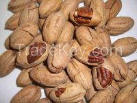 Sell Pecans nuts