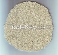 Sell Hulled White Sesame 99.95%