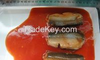 Sell Canned Mackerel In Tomato Sauce