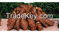 Cassava buyers needed