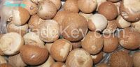 Whole Betel nuts