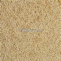 Suppliers QUINOA SEED Top quality-Red and White Quinoa Seed