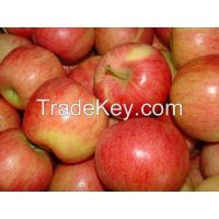 We are Suppliers of Fresh Royal Gala Apple Grade A