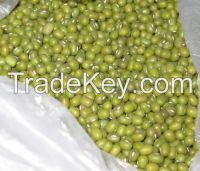 Green mung beans