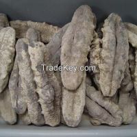 Dried Sea Cucumbers (Sea Food)