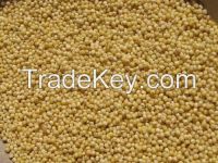 Millet Kernels best quality