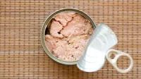 Canned tuna in water