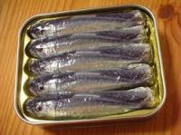 canned sardines in vegetable oil