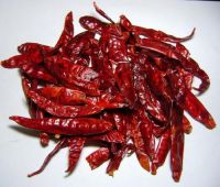 Dry and Fresh Red Chillies