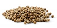 High Quality Brown Fresh Dried Coriander Seed