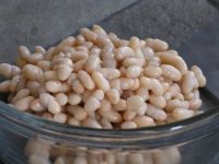 small white beans for sale