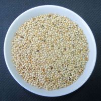 white millet for sale