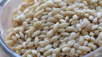 pearl barley