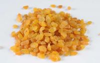 Golden Sultanas Raisins for sale Online . Best quality at mist competitive price