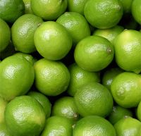 Fresh Lemon and Limes