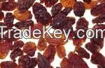 high grade raisin