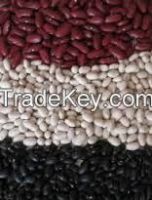 Kidney Beans