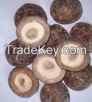 frozen shitake mushroom