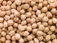 Factory direct wholesale cheap white chickpeas