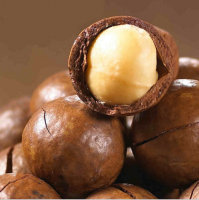 Sell Macadamia Nuts