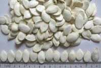 Snow white pumpkin seeds