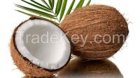 Good Quality Matured fresh Coconut, Copra Coconut, Desiccated Coconut available