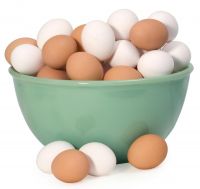 Fresh Chicken Brown and White Eggs best price.