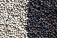 Good Quality Black Pepper and White pepper