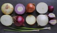 Fresh quality ONIONS, PEPPER, GINGER, Gallic