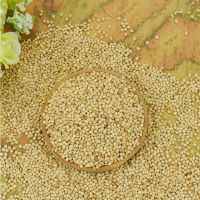 Yellow Millet