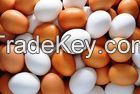 Fresh white and brown chicken eggs size : 40g-50g-60g-65g-70-75g