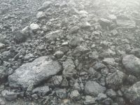 Indonesian Coal for Sale