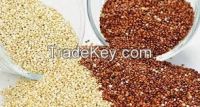 Sell Quinoa good quality (PERU)