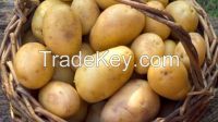 Potato Stored