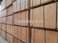 concrete formworking shuttering plywood
