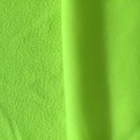 weft knitted fluorescent PK fleeced fabric