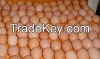 White and Brown Chicken Eggs