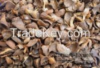 PALM KERNEL SHELL