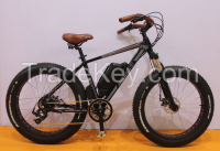Superb Fat Tyre Electric Bike with CE Approved