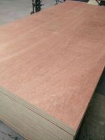 Red Hardwood Commercial Bintangor Plywood used for Furniture 18mm Linyi Manufacturer