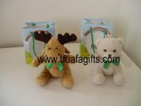 Plush Bear with Gift Box