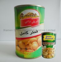 China canned mushroom high quality exporter supplier