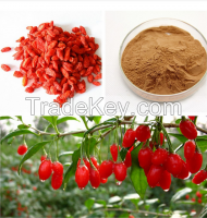 Natural Goji Berry powder, Instant concentrate goji berry juice powder