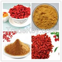 100% High quality goji berry extract/goji berry freeze dried powder/goji berry powder