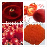 pure natural tomato extract, tomato extract lycopene, natural lycopene powder with free sample