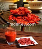 Organic Freeze Dried Goji Berry Powder Bulk Supplying