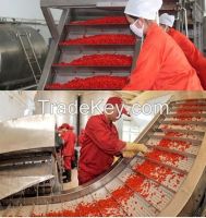 China Tibet Organic Goji Berries/wolfberries Powder/Extract