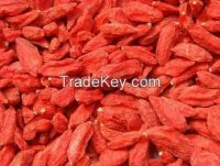 100% pure natural dried goji berry / dried wolfberry